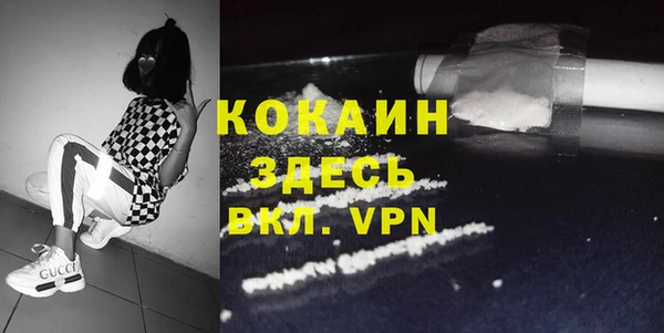 ГАЛЛЮЦИНОГЕННЫЕ ГРИБЫ Абаза