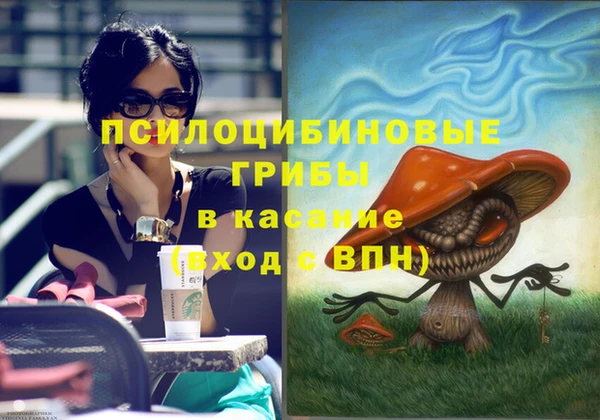 ГАЛЛЮЦИНОГЕННЫЕ ГРИБЫ Абаза